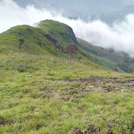 Jungle Retreat Natural Stay Kombaikadu 科代卡纳尔 外观 照片
