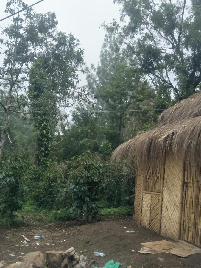 Jungle Retreat Natural Stay Kombaikadu 科代卡纳尔 外观 照片