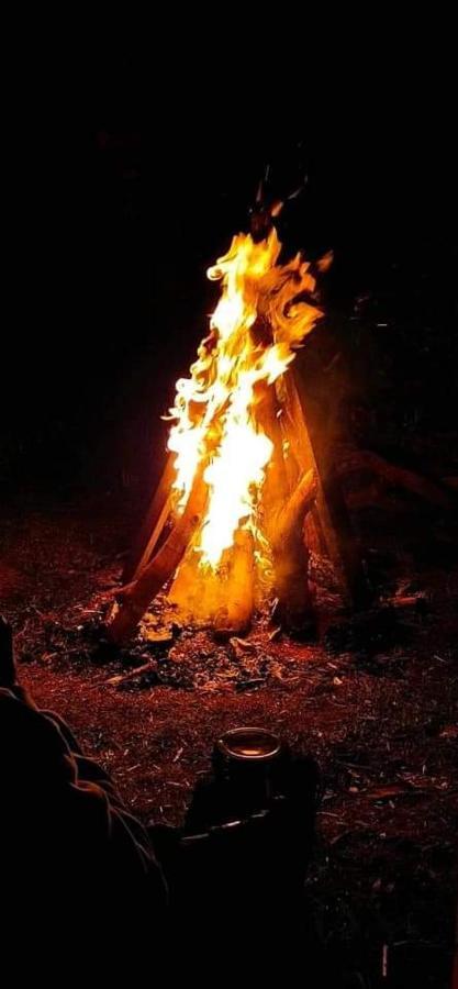 Jungle Retreat Natural Stay Kombaikadu 科代卡纳尔 外观 照片