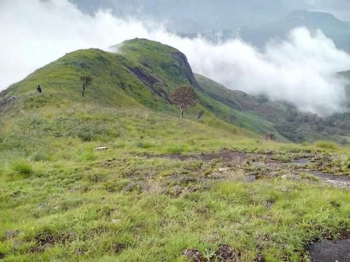 Jungle Retreat Natural Stay Kombaikadu 科代卡纳尔 外观 照片